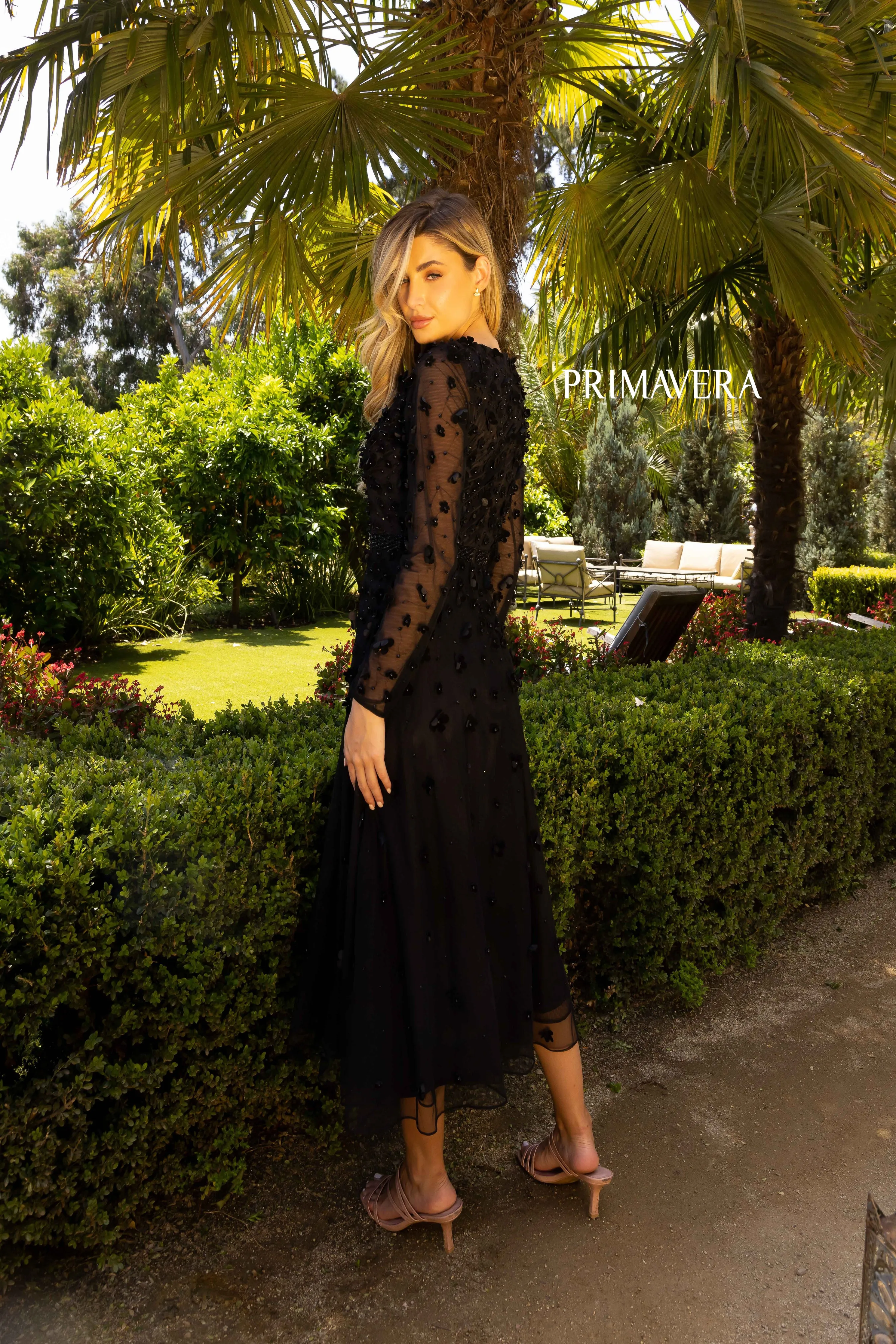 Primavera 11072