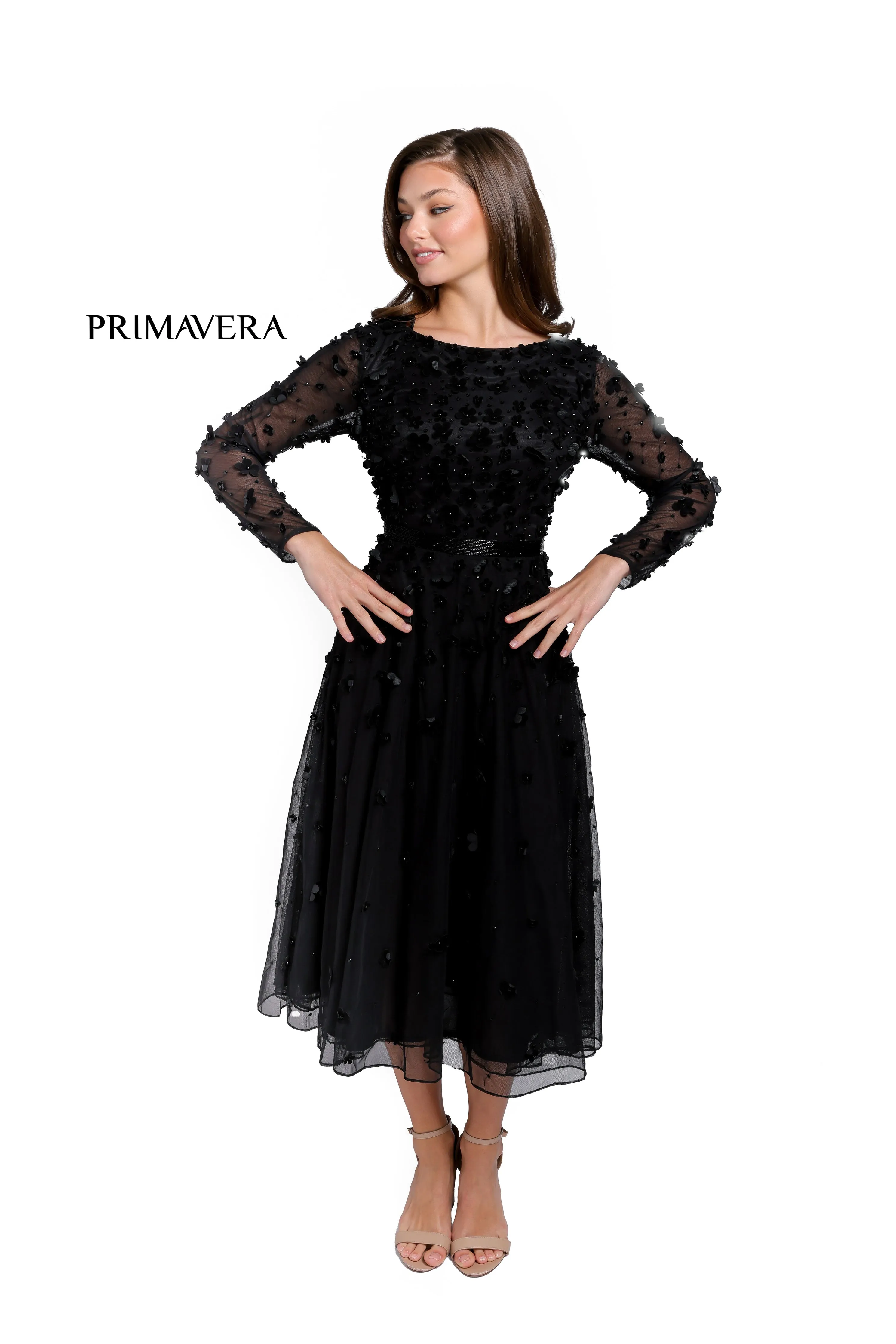 Primavera 11072