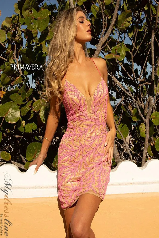 Primavera 3554