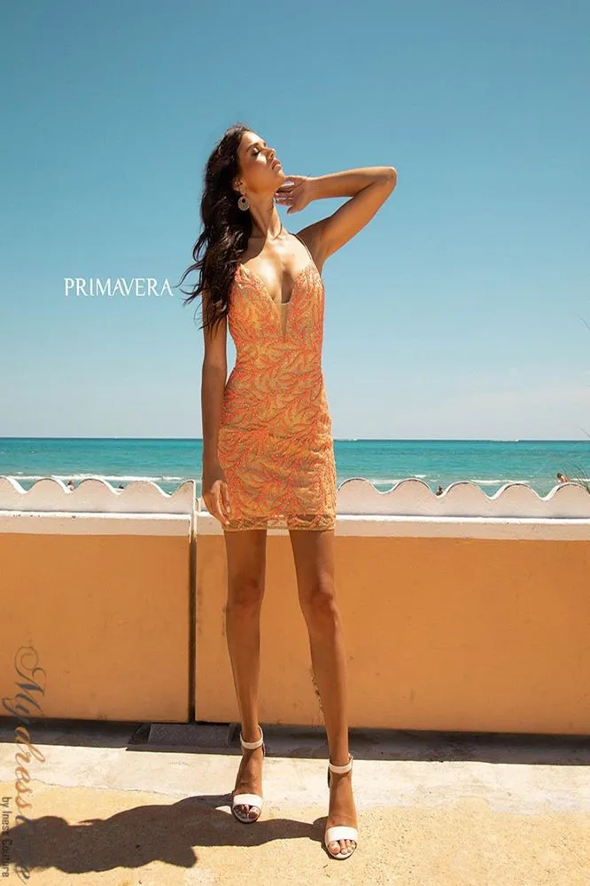 Primavera 3554
