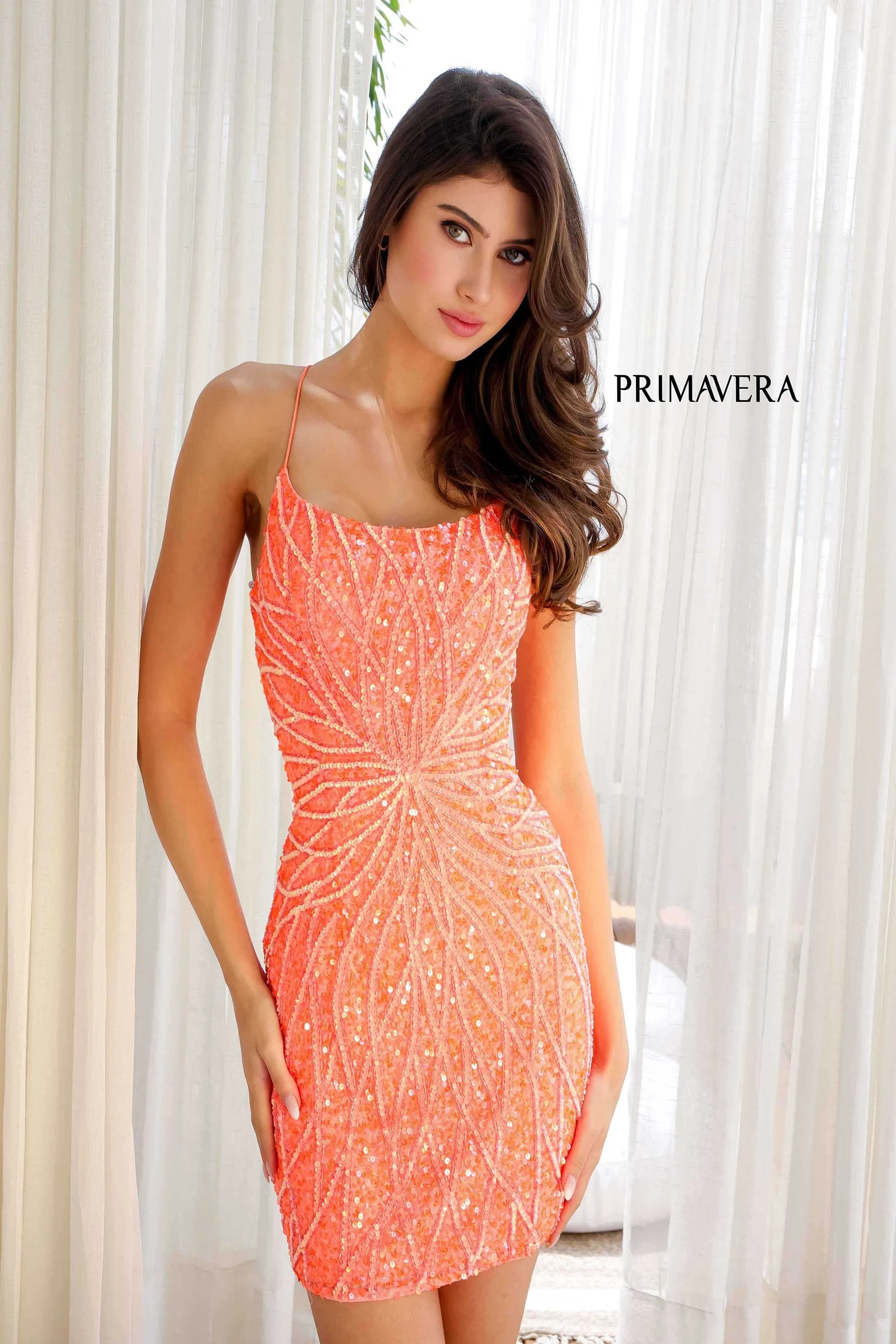 Primavera 4001