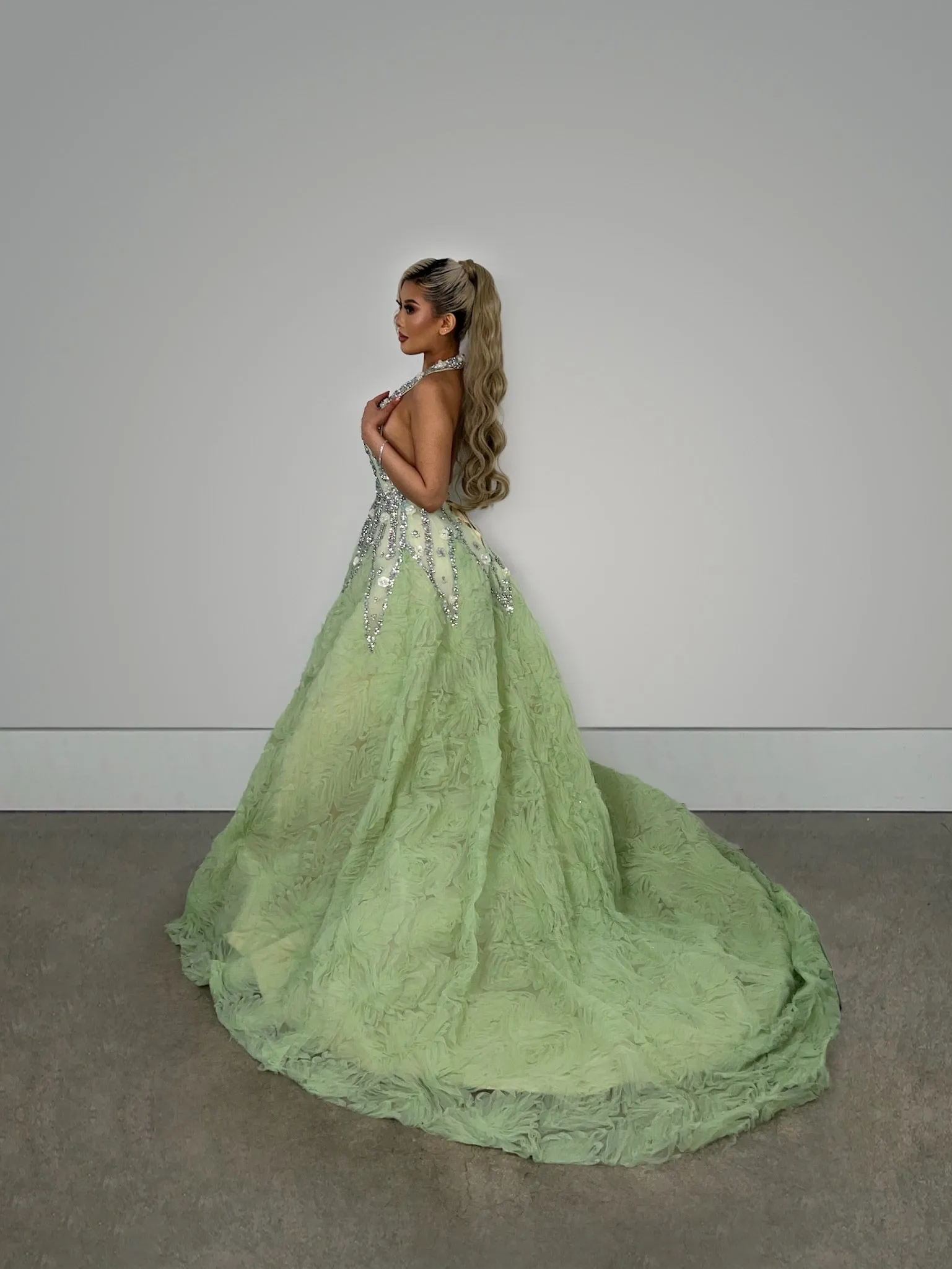 Princess Tiana Gown Ready To Ship