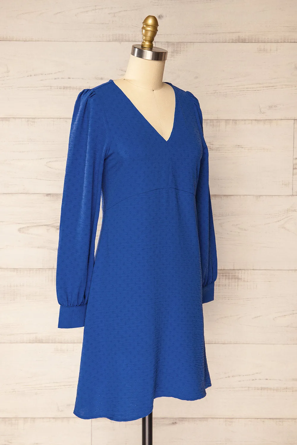 Rotherham Blue | Short A-line Dress w/ Long Sleeves